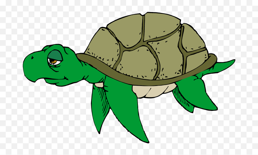 Free Turtle Clipart 2 - Old Turtle Clipart Emoji,Turtle Clipart