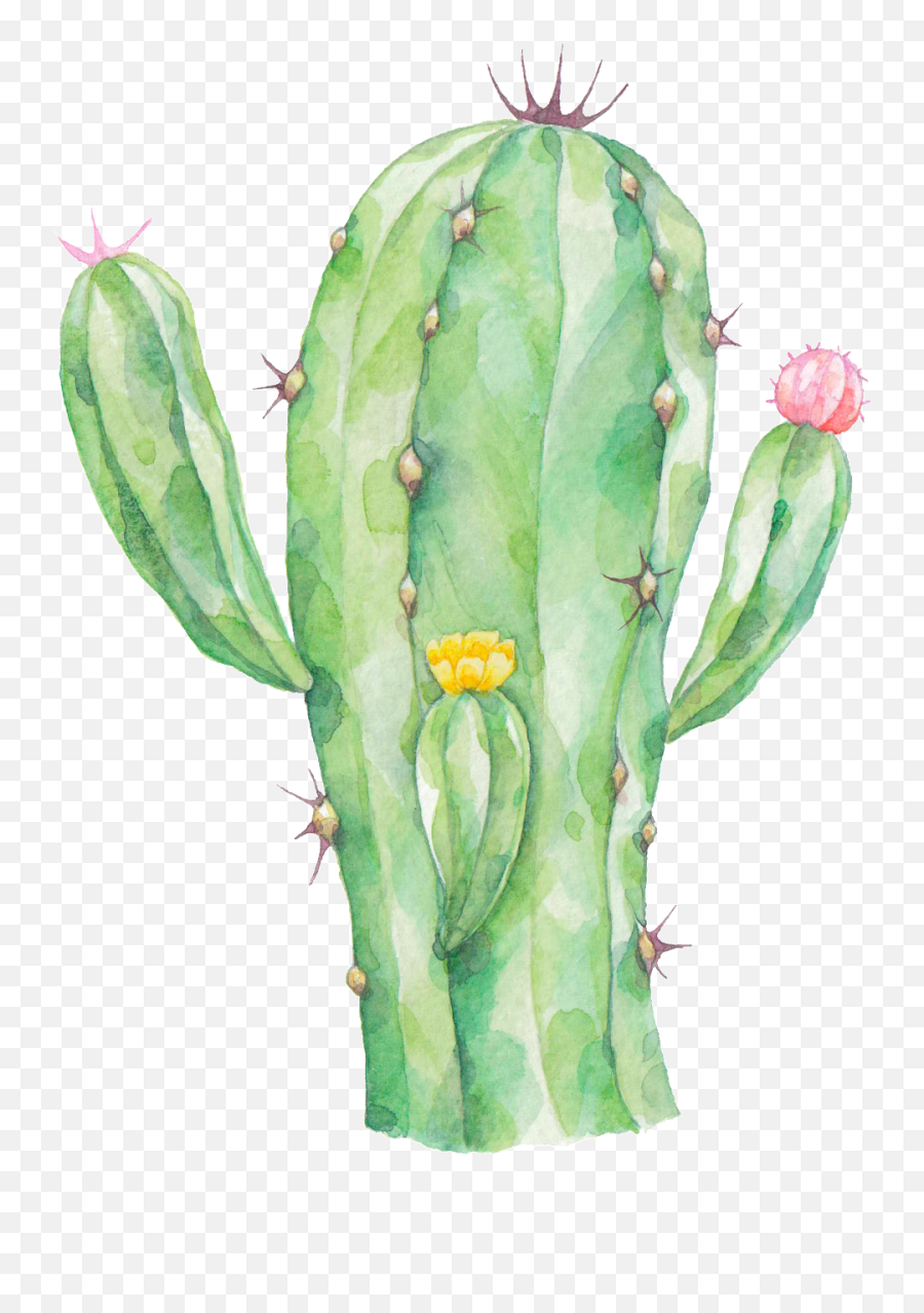 Download Radiation Proof Cactus Png - Transparent Watercolor Cactus Clipart Emoji,Cactus Png