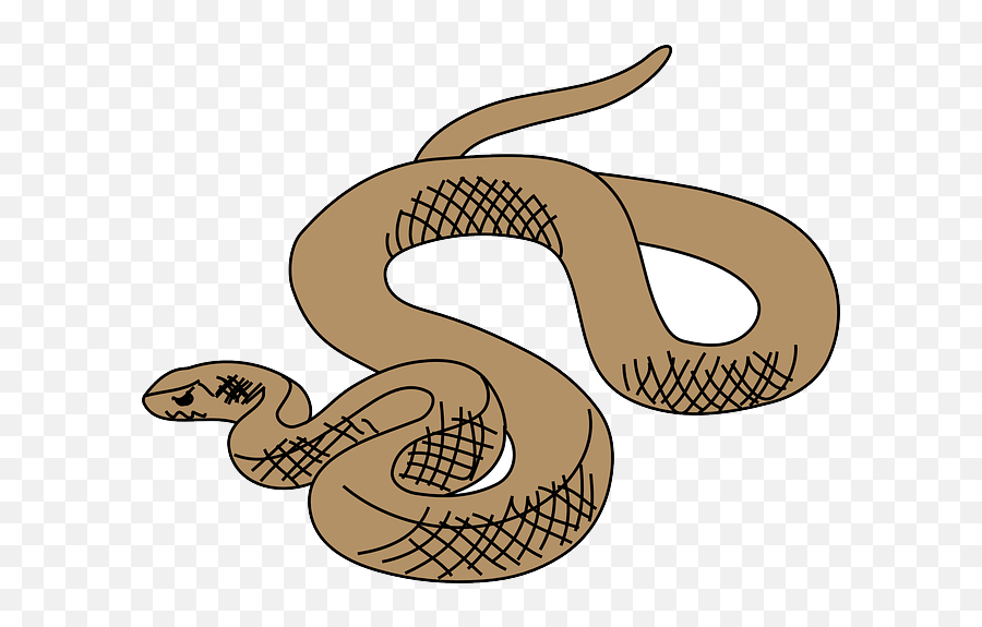 Snake Brown Art Reptile Slithering Curled Slither Qd9oyi Emoji,Reptile Clipart