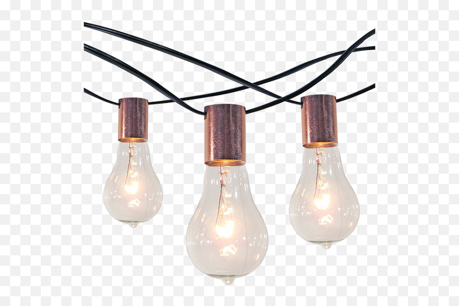 10ct String Lights With Copper Socket Collar With Black Wire - Smith U0026 Hawken Outdoor Black Copper String Lights Emoji,String Lights Png