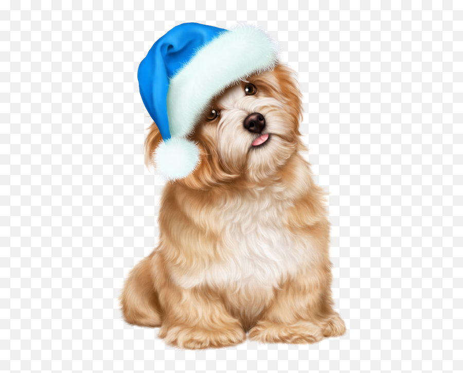 Christmas Dog Picture Transparent Background - Bloglifcoid Vulnerable Native Breeds Emoji,Dog Transparent Background