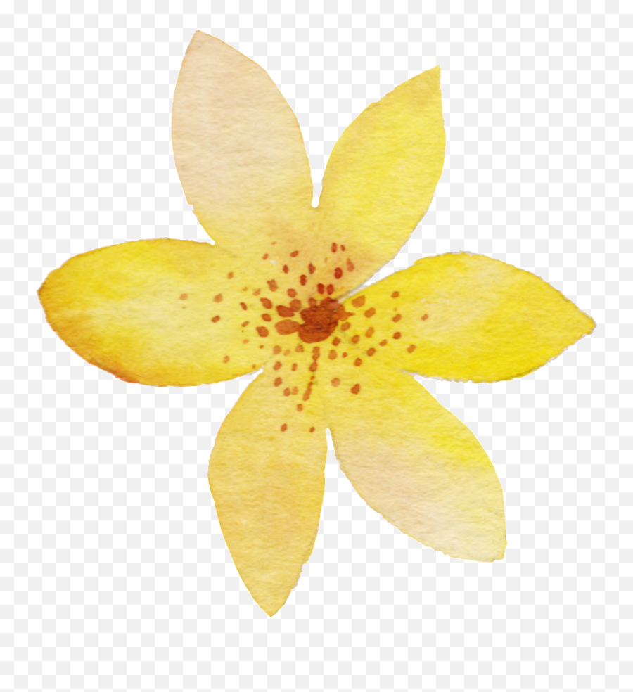 Download Yellow Watercolor Flower Png Transparent - Yellow Transparent Background Watercolor Flower Png Yellow Emoji,Watercolor Flowers Transparent Background