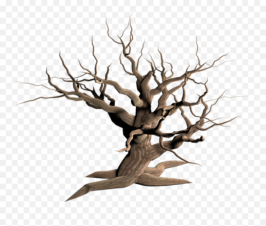 Tree Png Isolated Dead Plant Png - Dead Tree Transparent Emoji,Plant Png