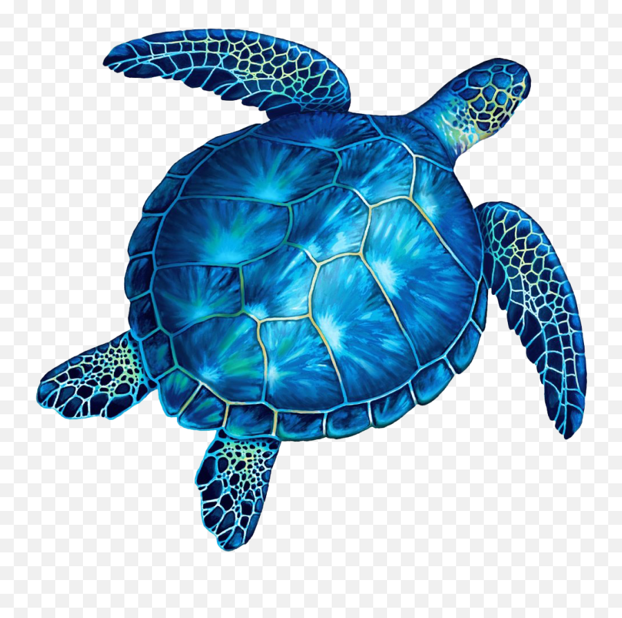 Turtle Png Images Transparent Emoji,Turtle Transparent Background