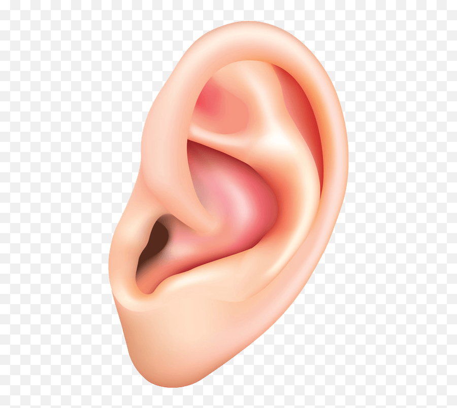 Human Ear Clipart Transparent - Clipart World Emoji,Elf Ears Png