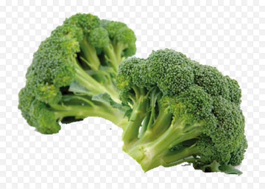 Broccoli Eating Vegetable Sulforaphane Chinese Cabbage - 2 Broccoli Emoji,Broccoli Png