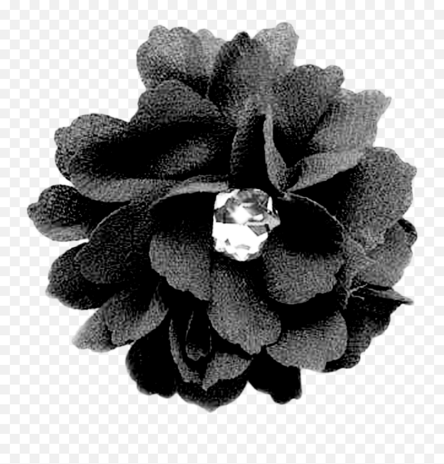 Black Flower Png Transparent Png Image - Still Life Photography Emoji,Black Flower Png