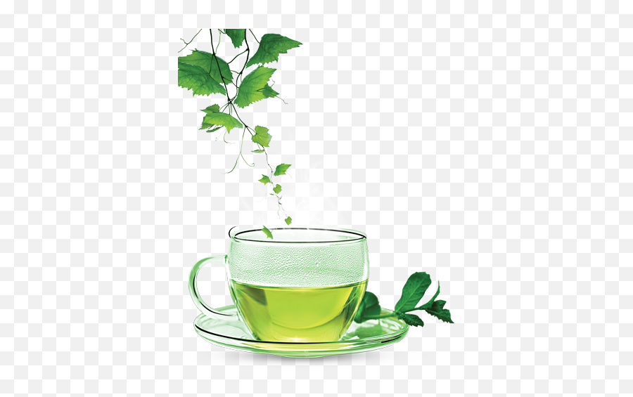 Download Green Tea Clipart Hq Png Image - Green Tea Images Png Emoji,Tea Clipart