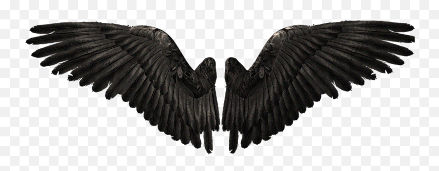 Demon Wings Transparent Images - Wings Hd Emoji,Demon Wings Png