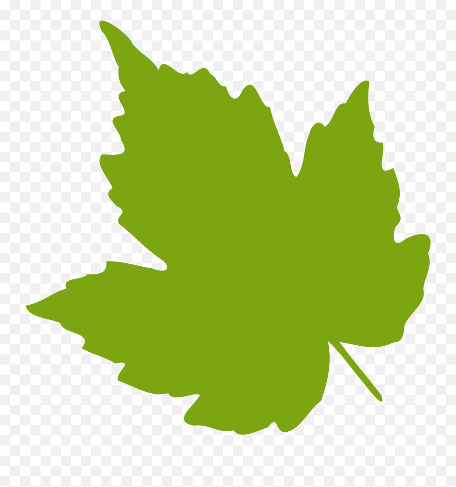 Download Leaf Clipart Ivy Leaf - Clip Art Grape Leaf Emoji,Leaf Clipart