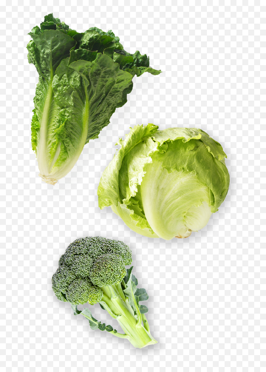 Lettuce Clipart Broccoli - Romaine And Iceberg Transparent Vegetales Del Valle De California Emoji,Lettuce Clipart
