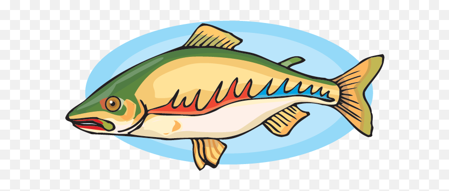 Salmon Clipart Hand Drawn Salmon Hand Drawn Transparent - Bacalao Gif Emoji,Salmon Clipart