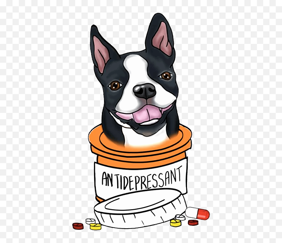 Boston Terrier Antidepressant Medical - Boston Terrier Antidepressant Emoji,Boston Terrier Clipart