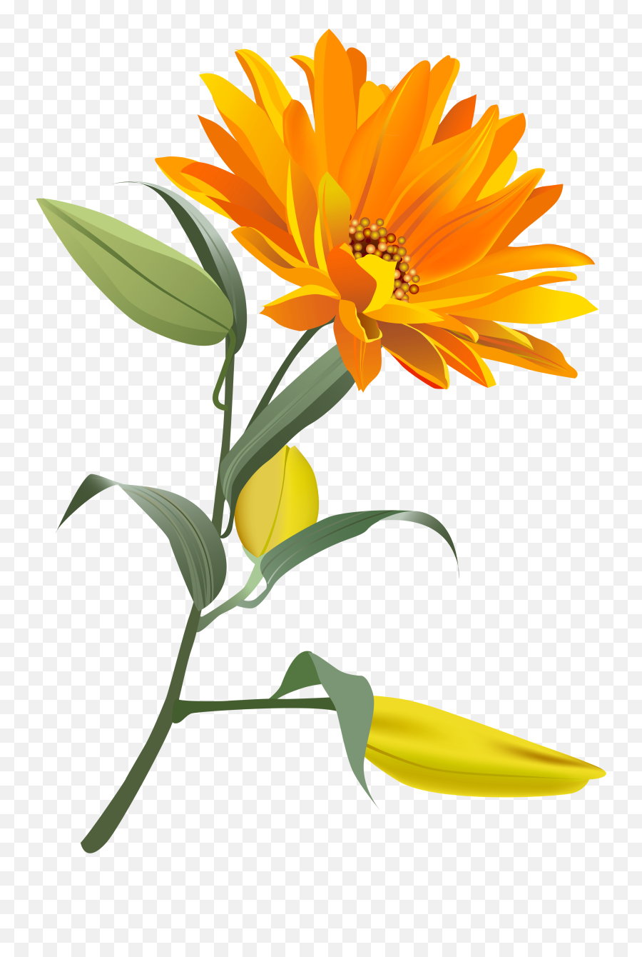 Orange Flower Png Clip Art Image Emoji,Orange Flowers Png