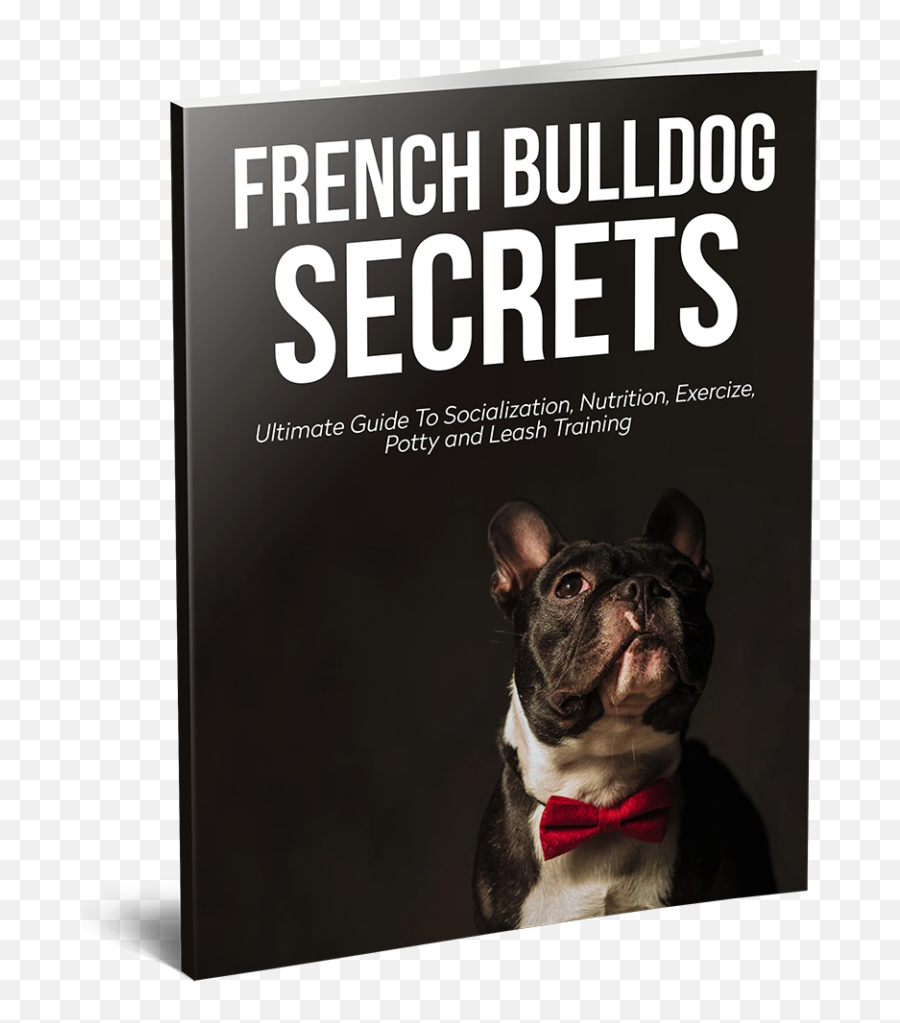 Home - French Bulldog Secrets Blog Emoji,French Bulldog Png