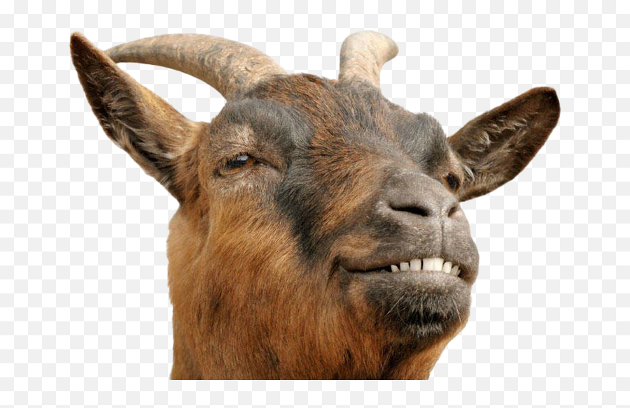 Goat Png Transparent Emoji,Goat Transparent Background