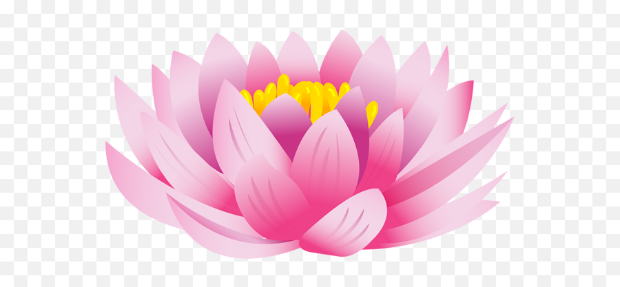 Lotus Flower Png Images Free Download - Transparent Background Lotus Clipart Emoji,Flower Transparent Background