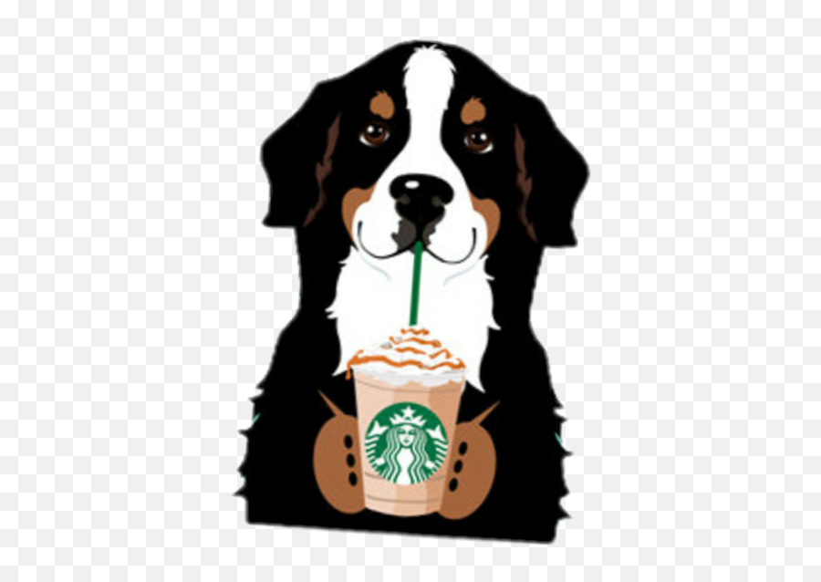 Dog Drinking Starbucks Sticker By Dunissa Corea - Animal Drinking Starbucks Clipart Emoji,Starbucks Clipart