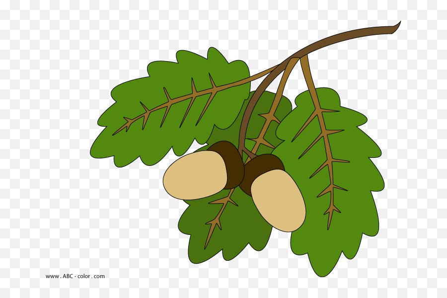 Oak Leaves And Acorns - Clipart Best County Kildare Flag Emoji,Oak Leaf Clipart