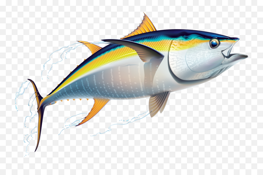 Tuna Fish Art Png U0026 Free Tuna Fish Artpng Transparent - Yellowfin Tuna Emoji,Seafood Clipart
