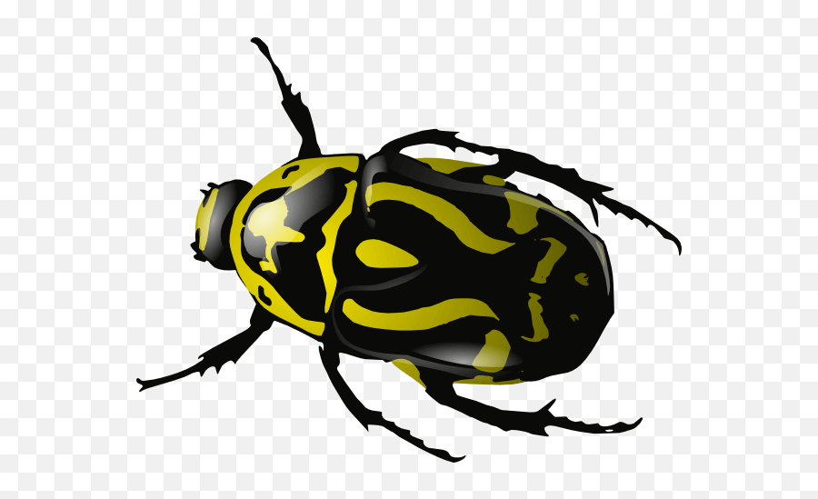 Bug - Bugs Png Clipart Emoji,Bug Clipart