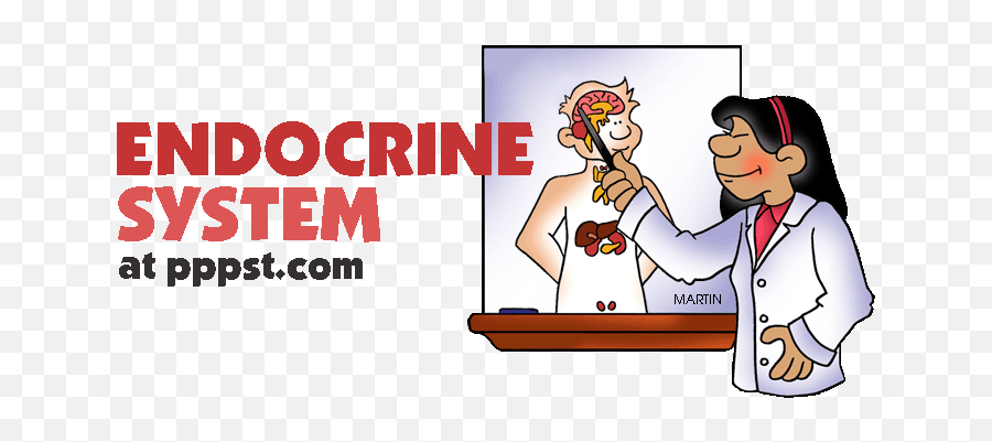 Free Powerpoint Presentations About Human Endocrine System Emoji,Graphic Organizer Clipart