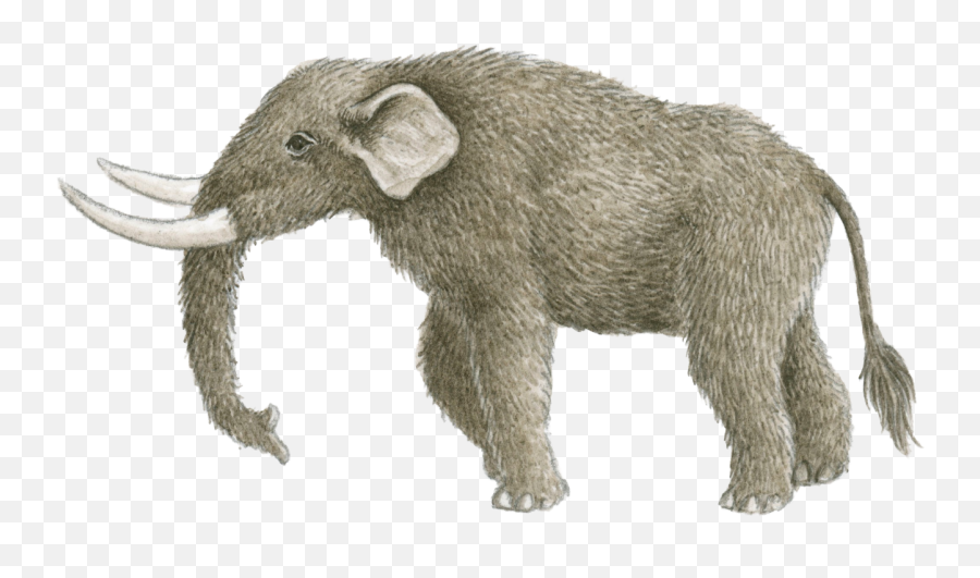 Mastodons Emoji,Mammut Logo