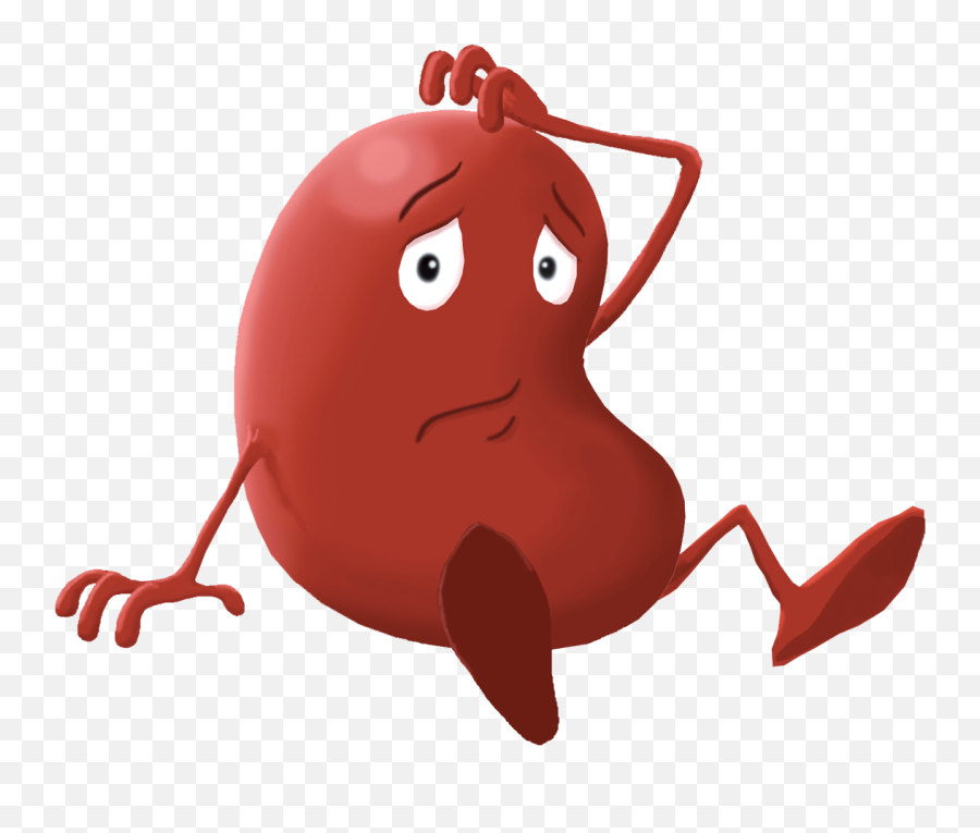 Kidney Sitting - Kidney Cartoon No Background Emoji,Kidney Clipart