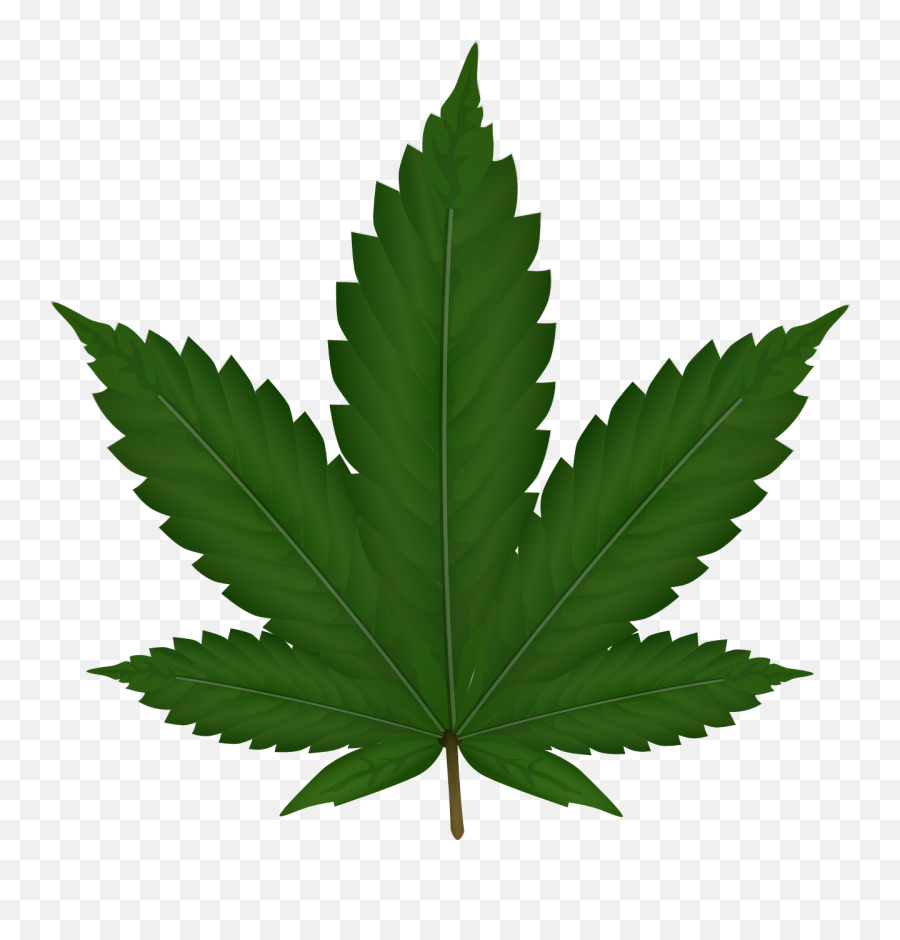 Download Weed Plant Png Image For Free - Marijuana Leaf Clipart Emoji,Plant Png