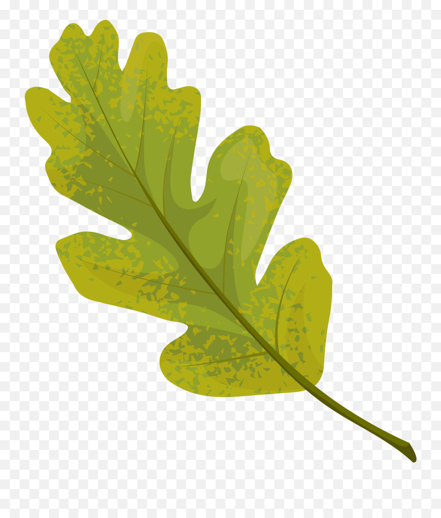Valley Oak Summer Leaf Clipart Free Download Transparent - Art Emoji,Oak Leaf Clipart