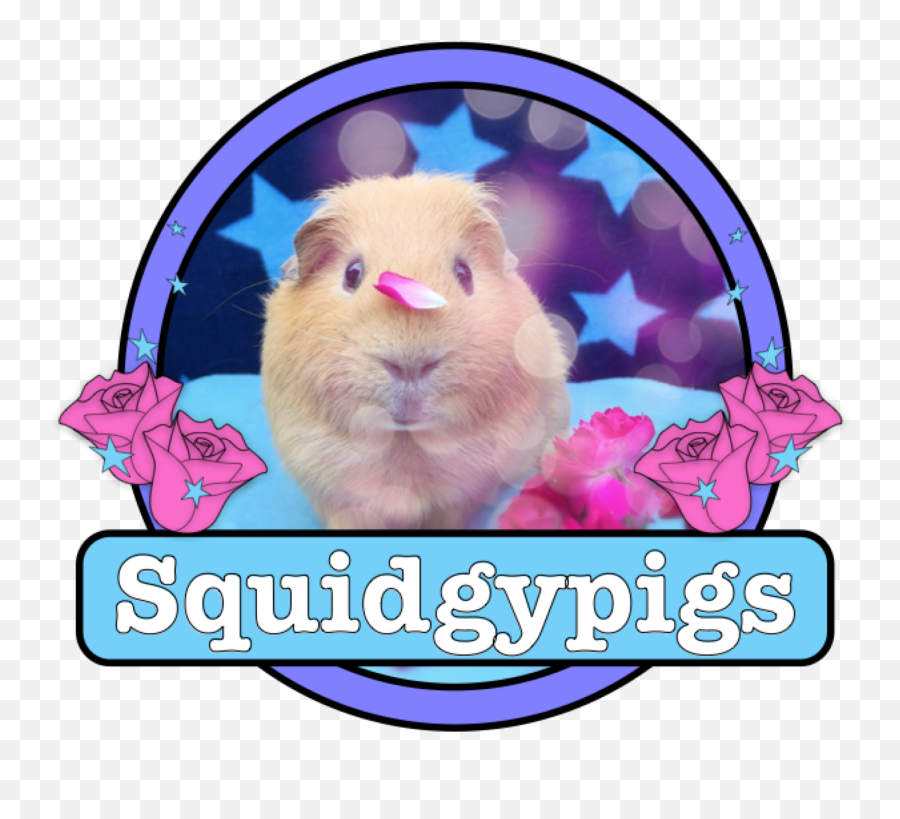 Squidgypigs - Soft Emoji,Guinea Pig Clipart