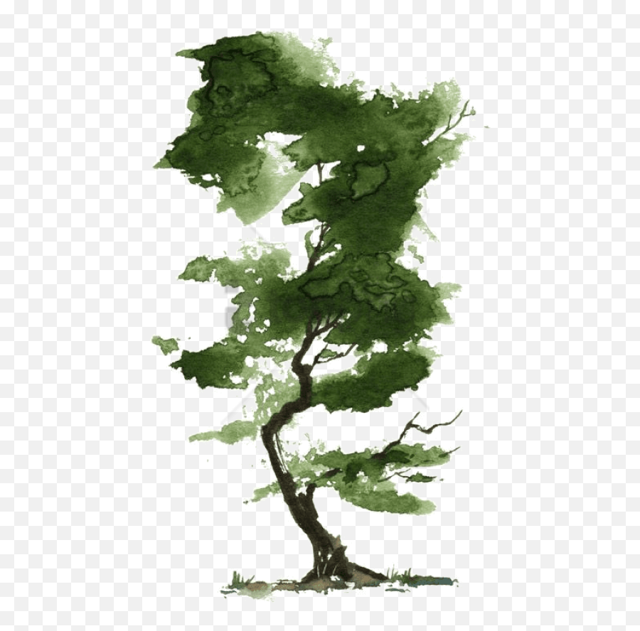 Watercolor Tree Png Image With No - Watercolor Tree Png Emoji,Watercolor Tree Png