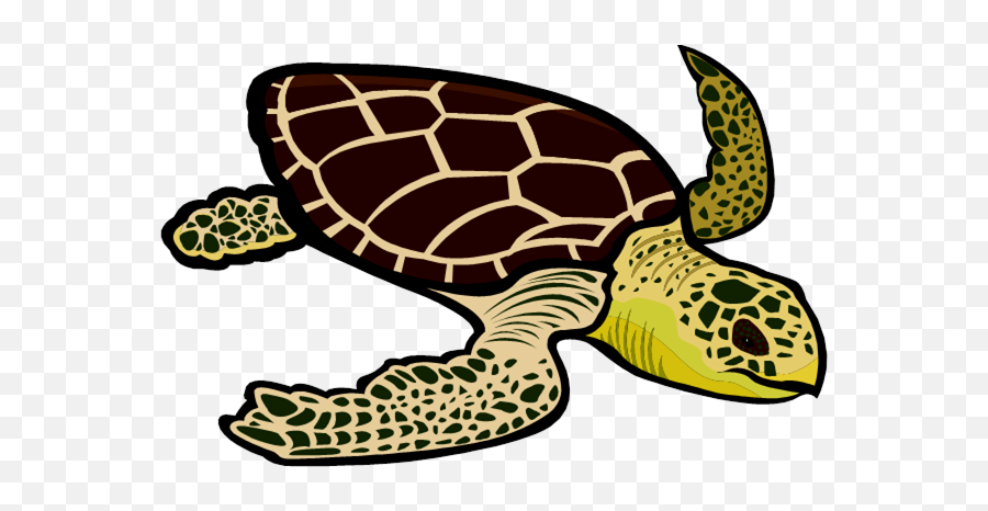 Green Sea Turtle Clipart Png Image With - Sea Turtle Clipart Emoji,Turtle Clipart