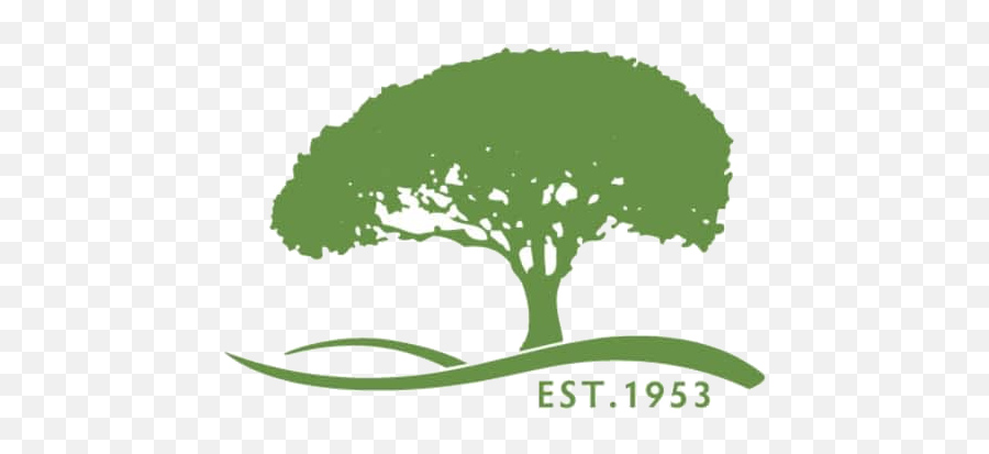 Cedars - Evergreens Trees U0026 Shrubs Shop Catalogue Emoji,Cedar Tree Clipart