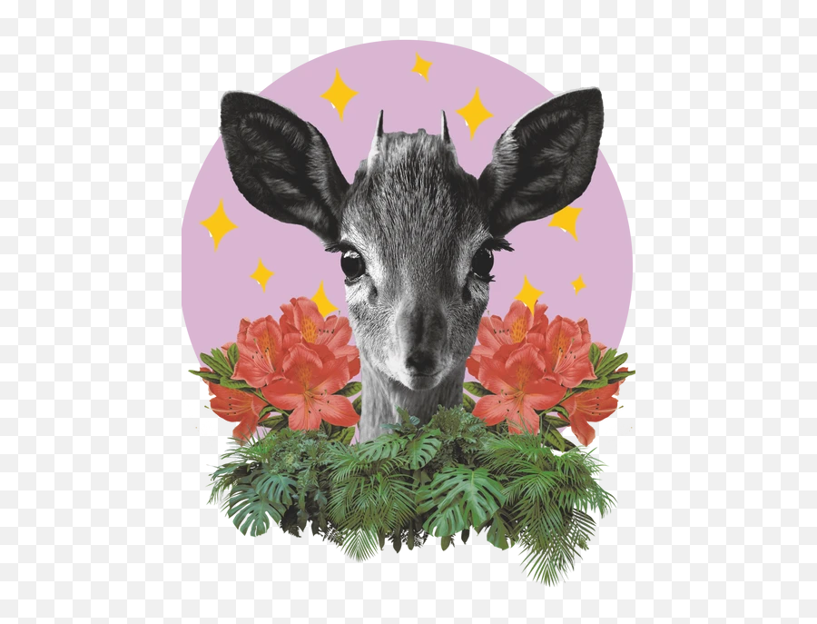 B1 U0026 B2 - Teeplus Emoji,Woodland Deer Clipart