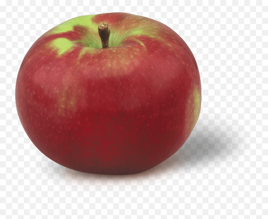 Varieties Archive - New York Apple Association Apples Macintosh Emoji,Apple Png