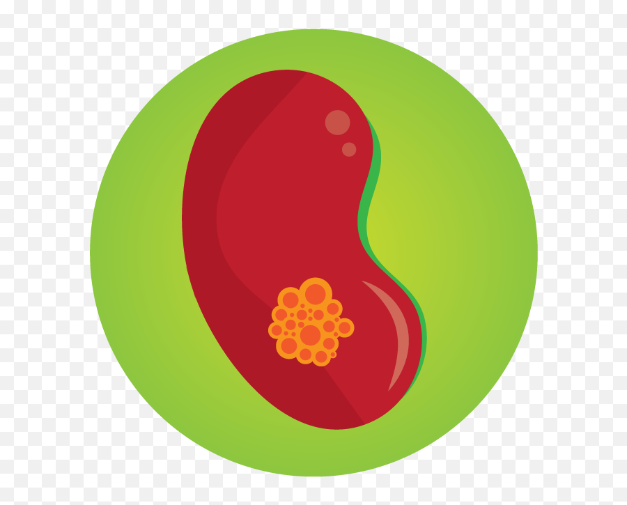 Kidney Clipart Kidney Damage Kidney - Dot Emoji,Kidney Clipart