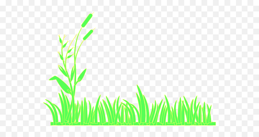 Green Grass Clip Art - Grass Clipart Black Background Full White Grass Clip Art Png Emoji,Cartoon Grass Png