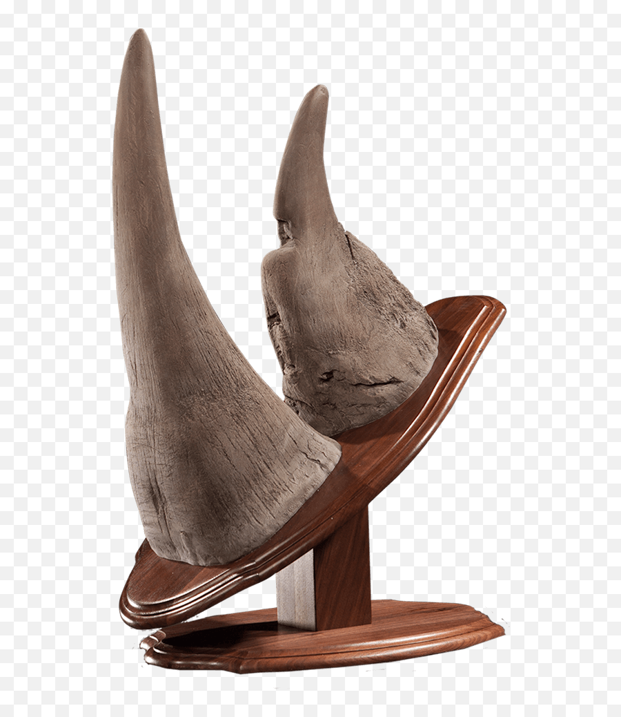 Rhino Horn Mount Dc110 Our Work Kanati Studio - Witch Hat Emoji,Horn Png
