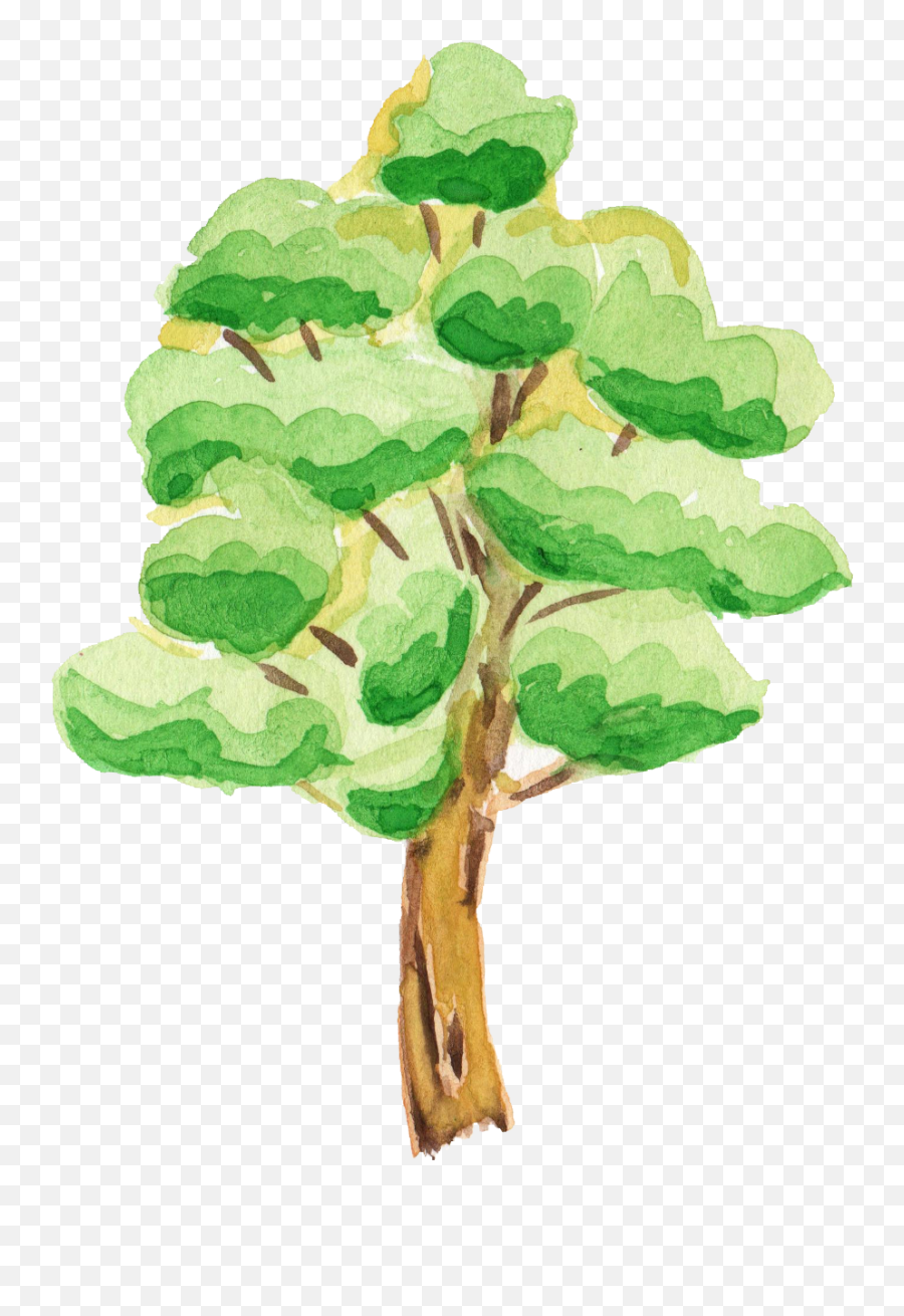 12 Watercolor Tree Transparent - Cute Transparent Background Tree Cartoon Emoji,Watercolor Tree Png