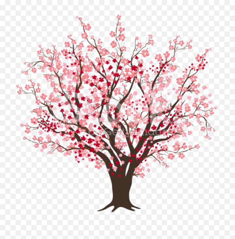 Image Freeuse Blossom Clipart Pretty - Silhouette Cherry Blossom Tree Emoji,Cherry Blossom Png