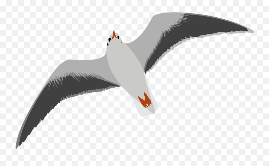 Of Seagull - Seagull Clipart Emoji,Seagull Clipart
