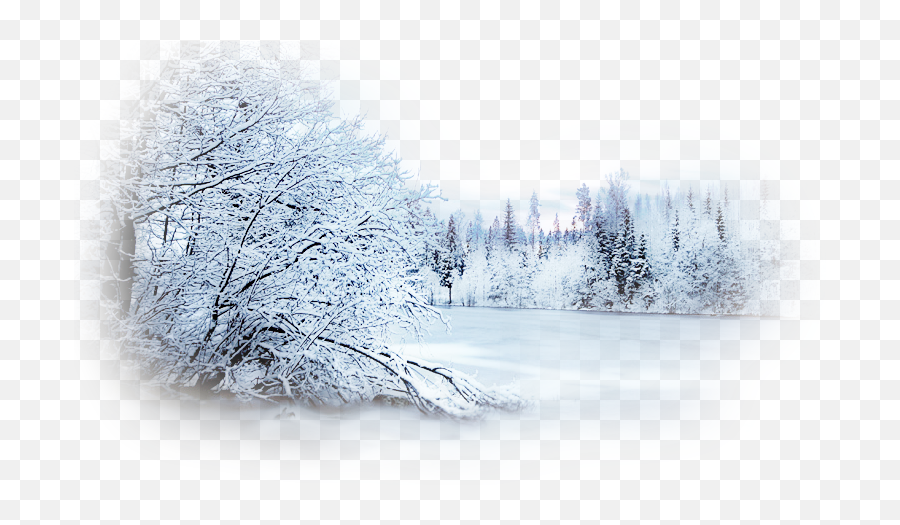 Winter Desktop Wallpaper Photography Snow Clip Art - Snow Emoji,Winter Scenes Clipart