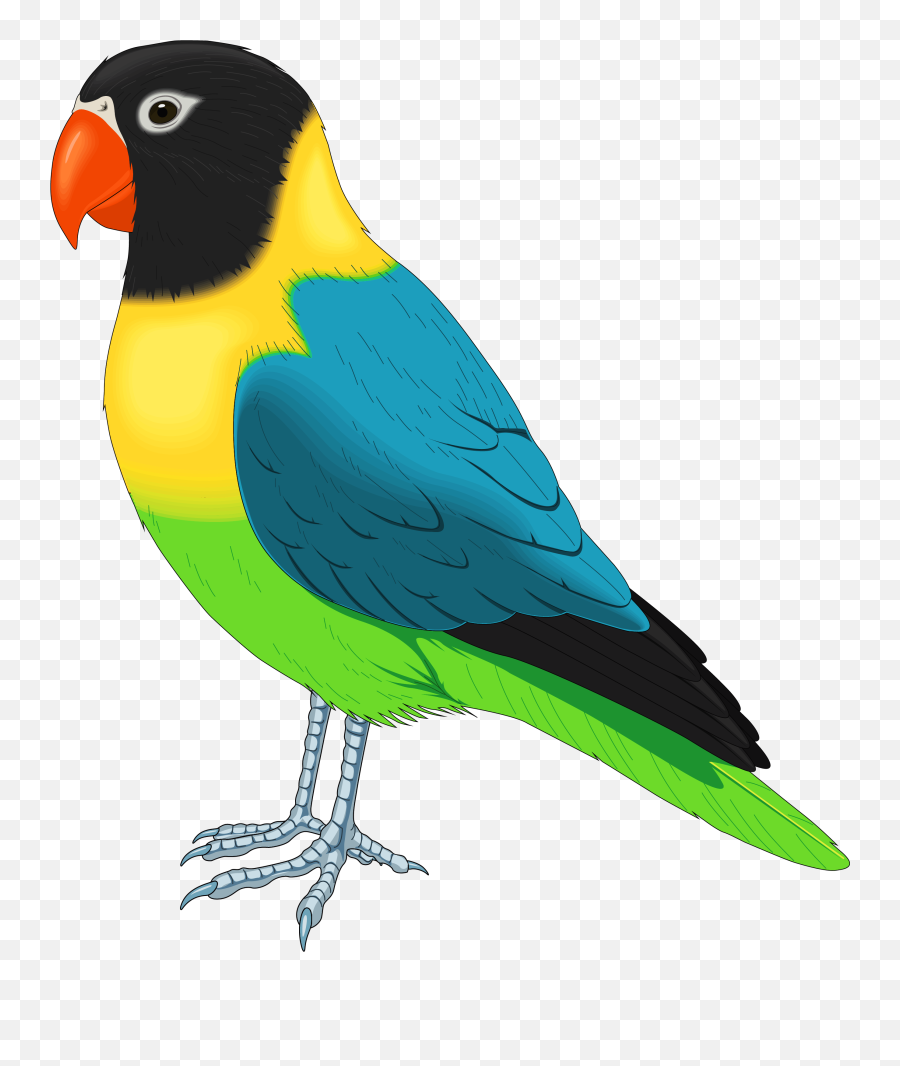 Clipart Winter Bird Clipart Winter - Bird Clipart Emoji,Bird Clipart