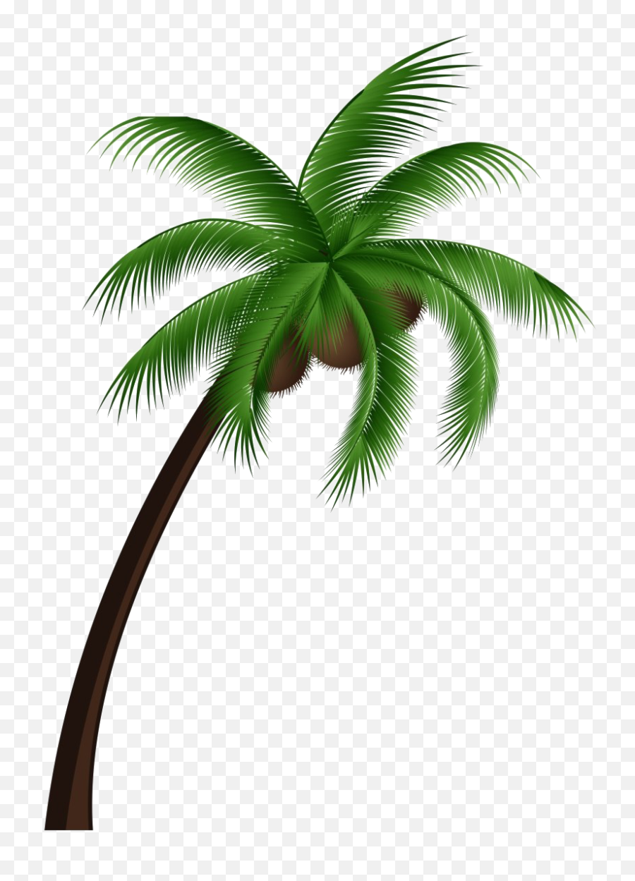 Tropical Palm Tree Transparent Background - Vector Coconut Tree Png Emoji,Tree Transparent