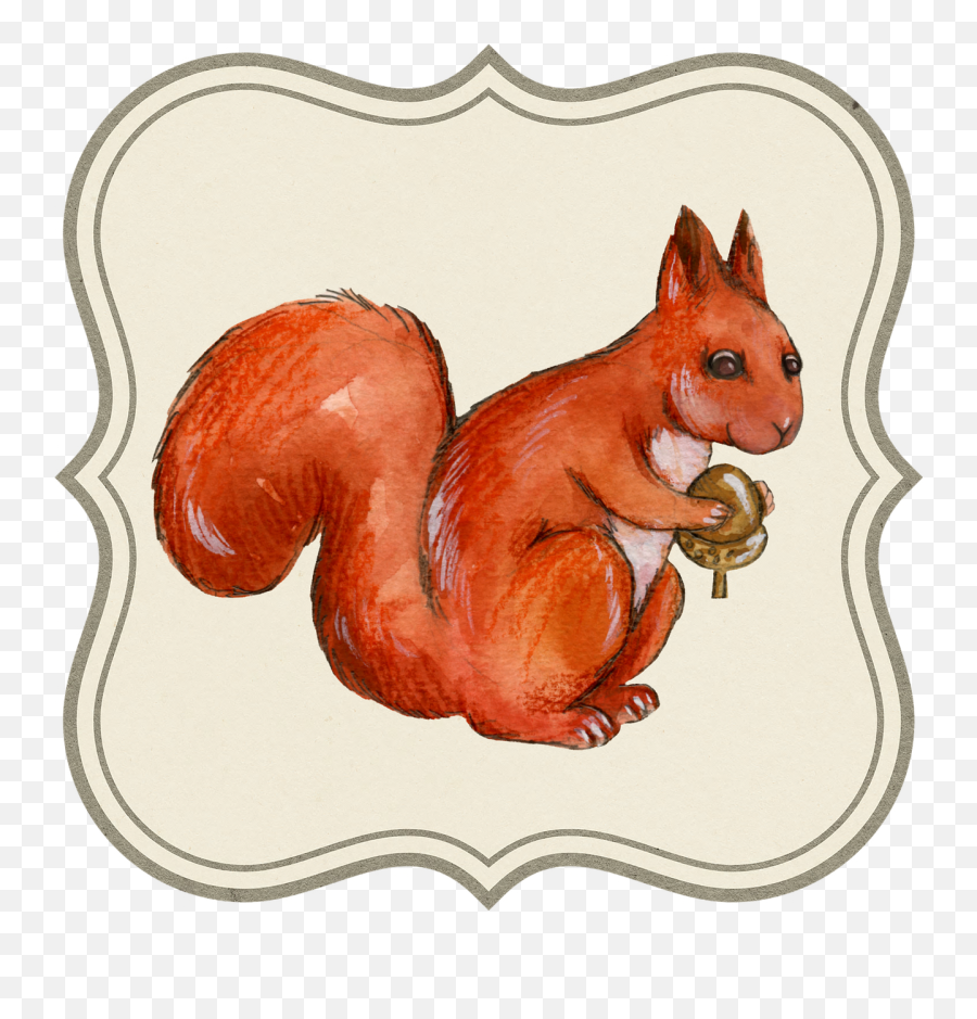Tag Label Acorn Animal Squirrel Png Picpng - Tag Squirrel Emoji,Squirrel Png