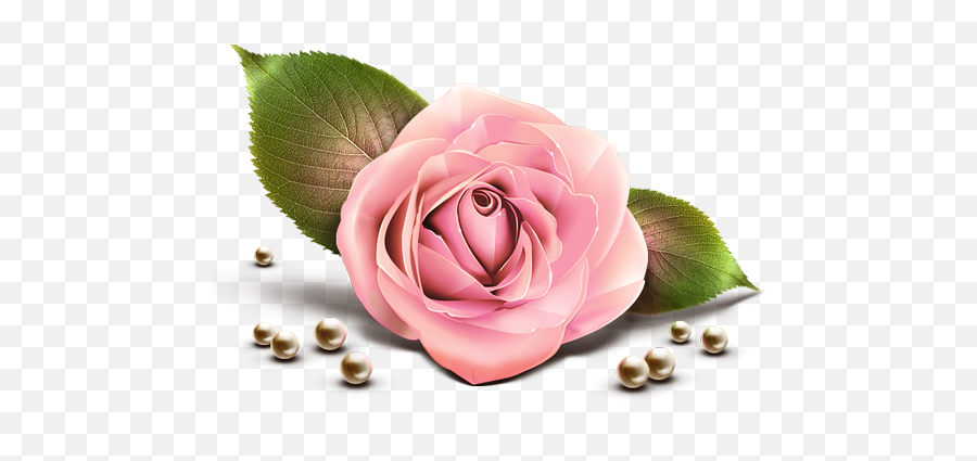 Pink Rose Png Clipart Png Mart - Greeting Card Eid Mubarak With Name Emoji,Pink Flower Png
