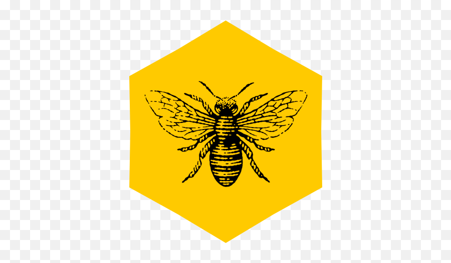 Home - Hexagon Bee Hive Png Emoji,Beehive Png
