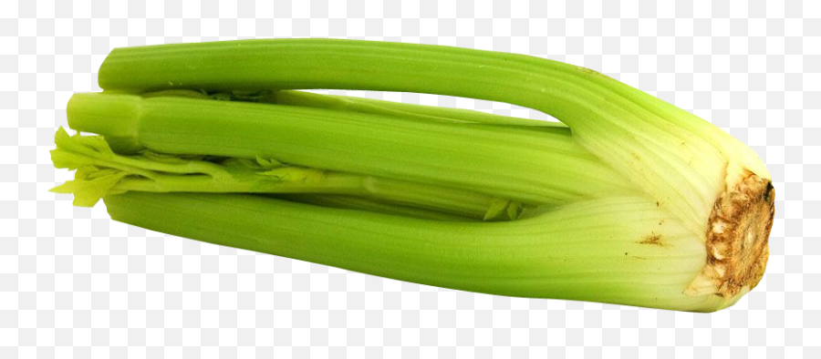 Celery Png Image - Celery Emoji,Celery Png