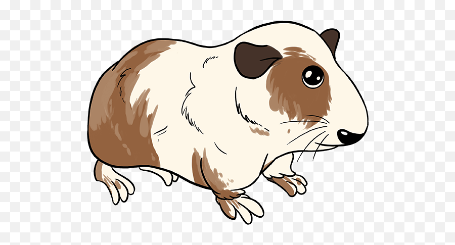 How To Draw A Guinea Pig - Cartoon Guinea Pig Drawing Brown Emoji,Guinea Pig Clipart